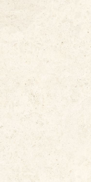 Lightstones.03 Shell Soft Touch 12 x 24